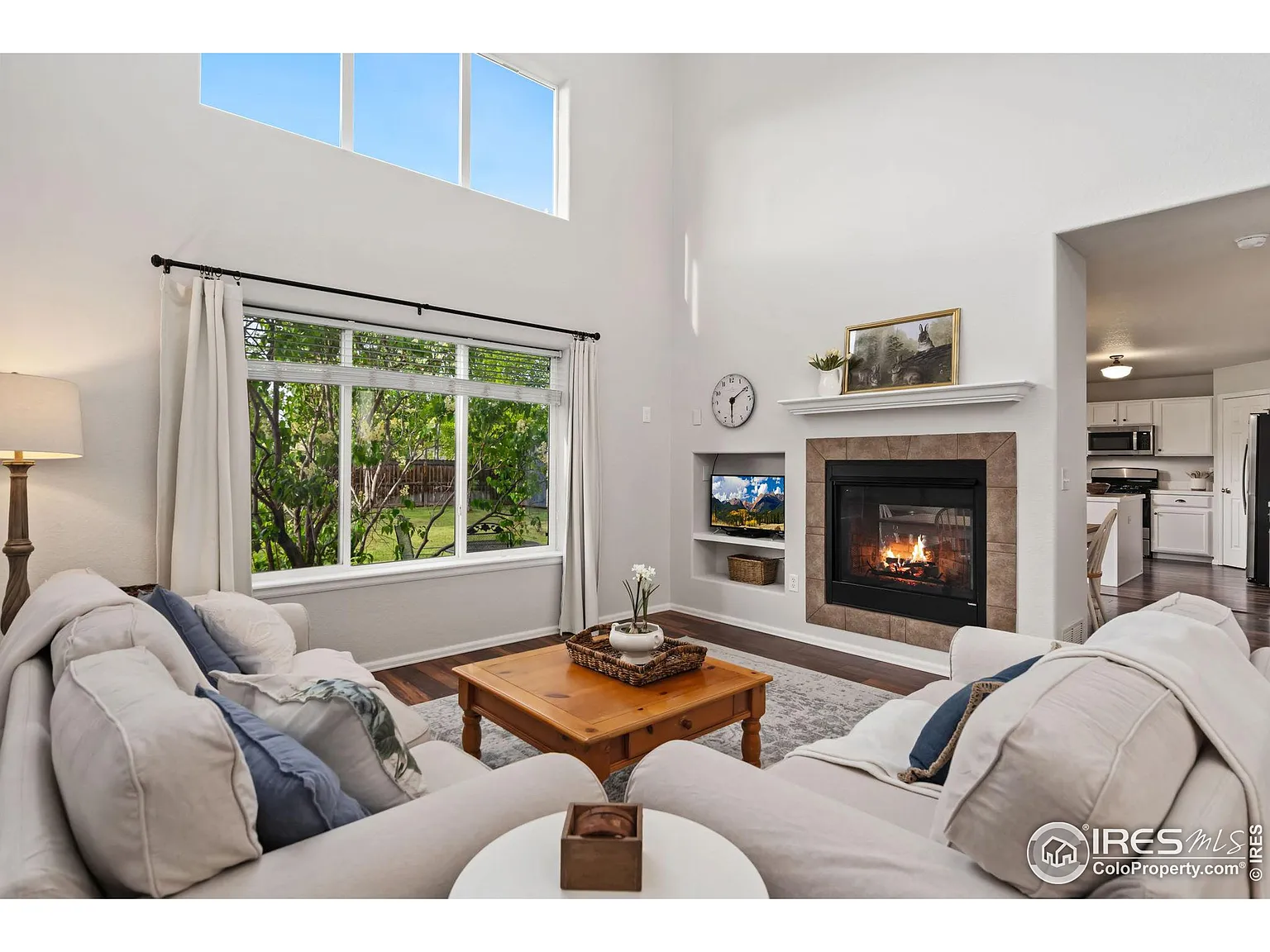 624 scotch pine dr severance