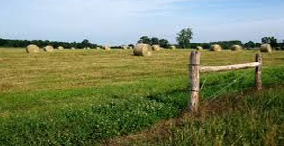 powell estates land lease property